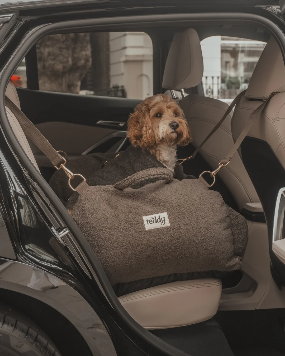 Timeless Style, Defined By Teddy