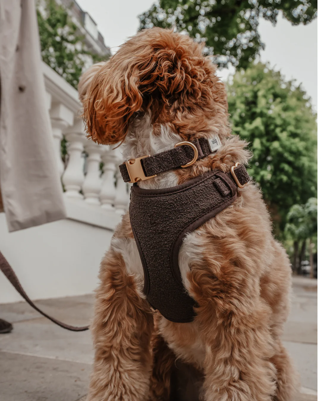 Chocolate┃Bouclé Adjustable Harness - Image 10