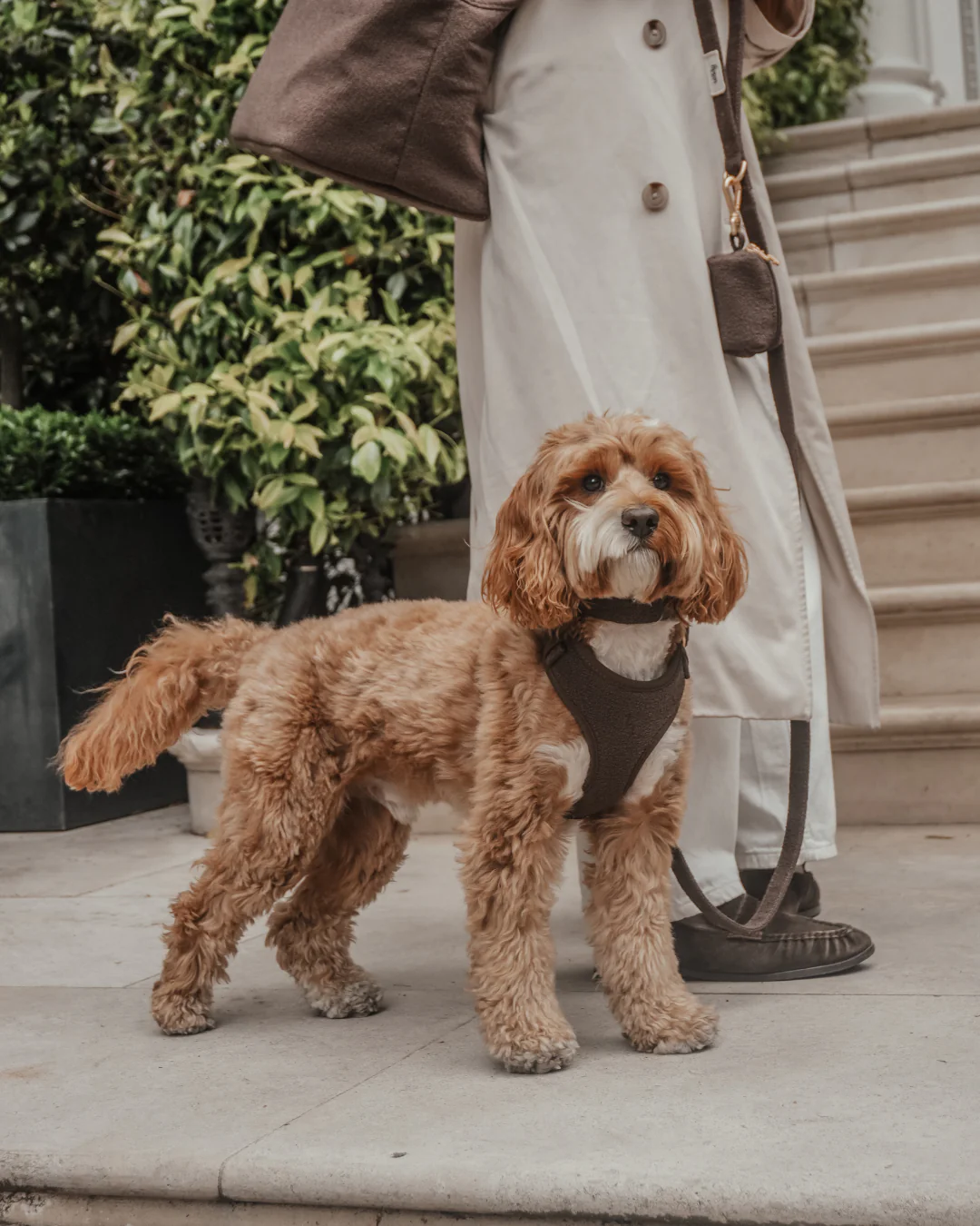Chocolate┃Bouclé Adjustable Harness - Image 6