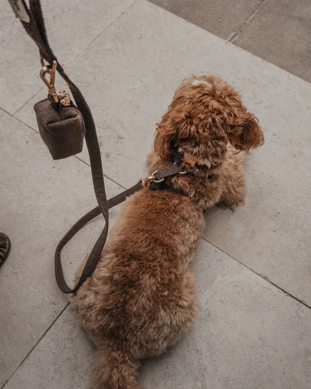 Chocolate┃Bouclé Lead - Image 6