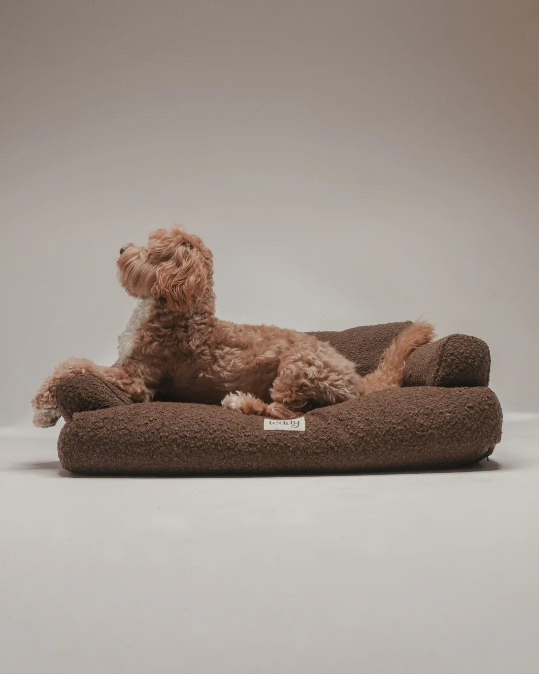 Chocolate | The Teddington Sofa - Image 5