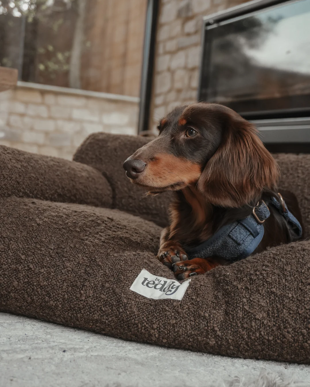 Chocolate | The Teddington Sofa - Image 8