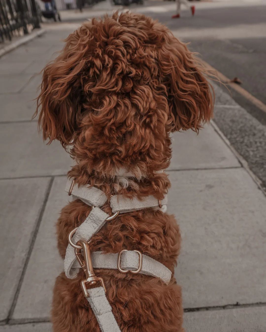 Marshmallow┃Bouclé Adjustable Harness - Image 6