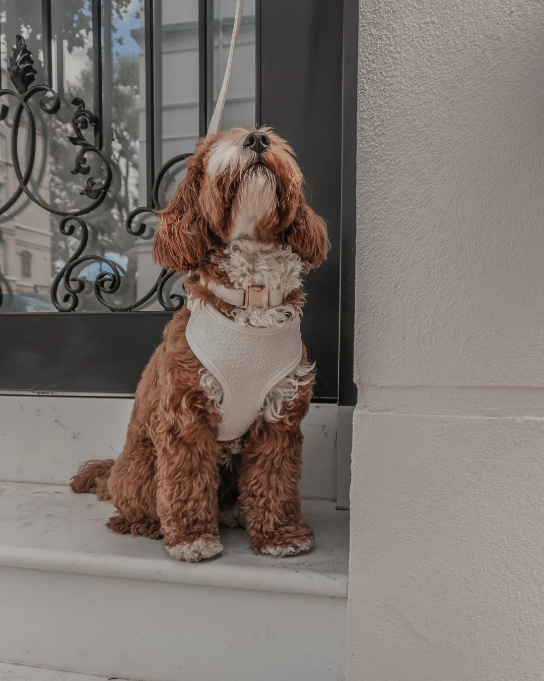 Marshmallow┃Bouclé Adjustable Harness - Image 8