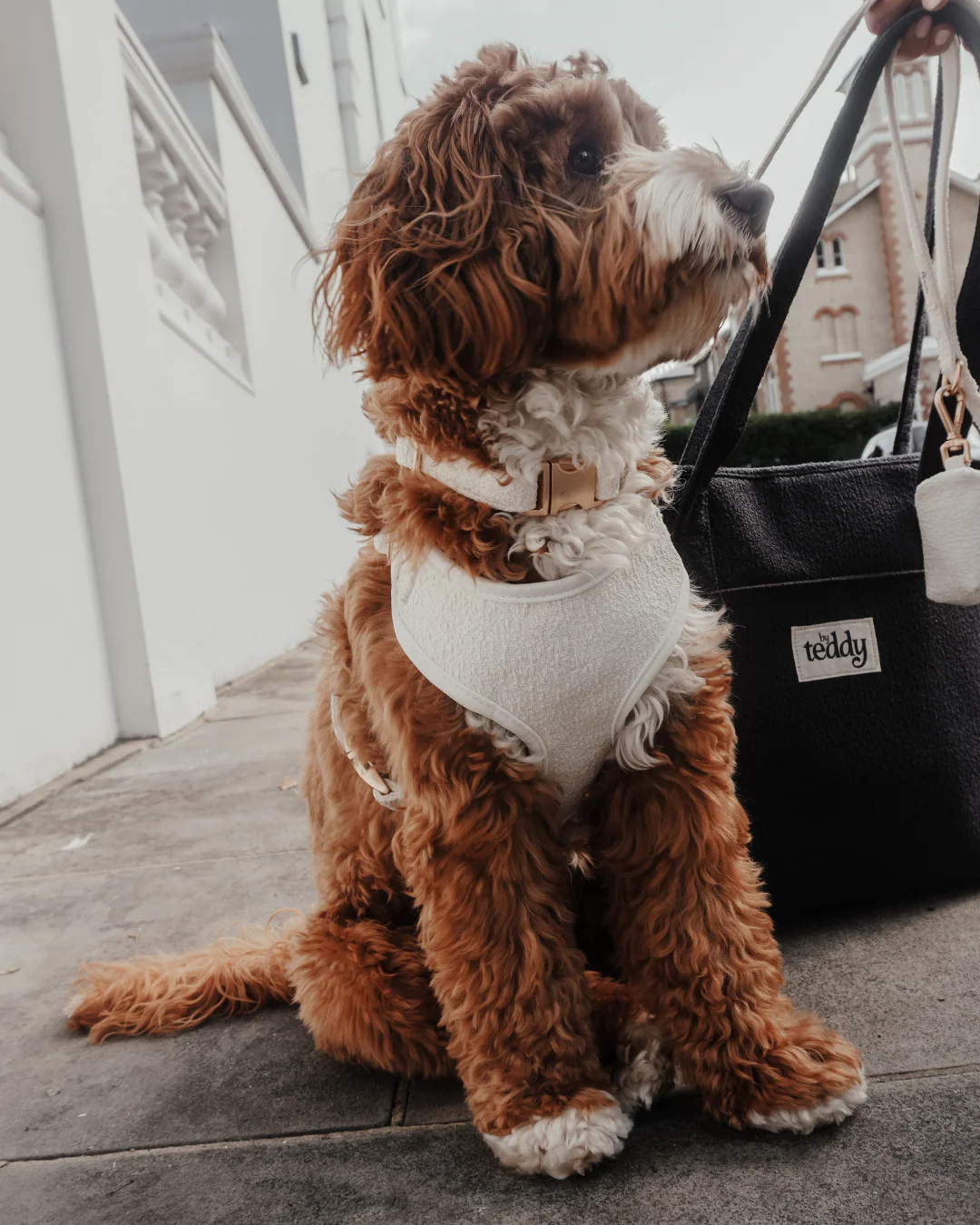 Marshmallow┃Bouclé Adjustable Harness - Image 9