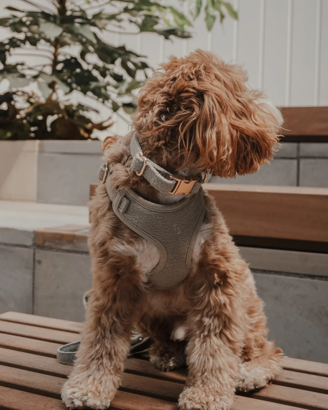 Matcha┃Bouclé Collar - Image 5