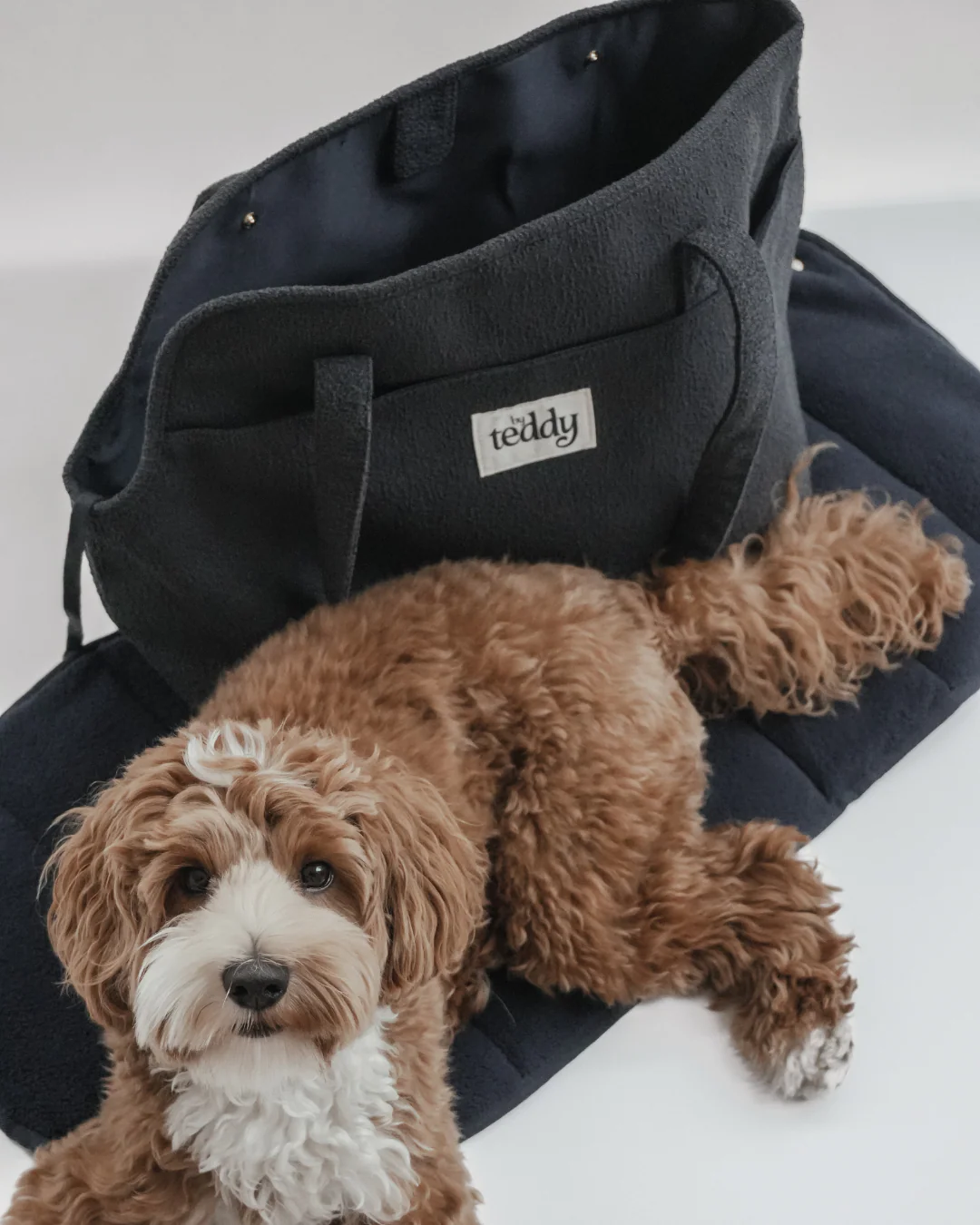 Midnight┃The Bouclé Carrier - Image 8
