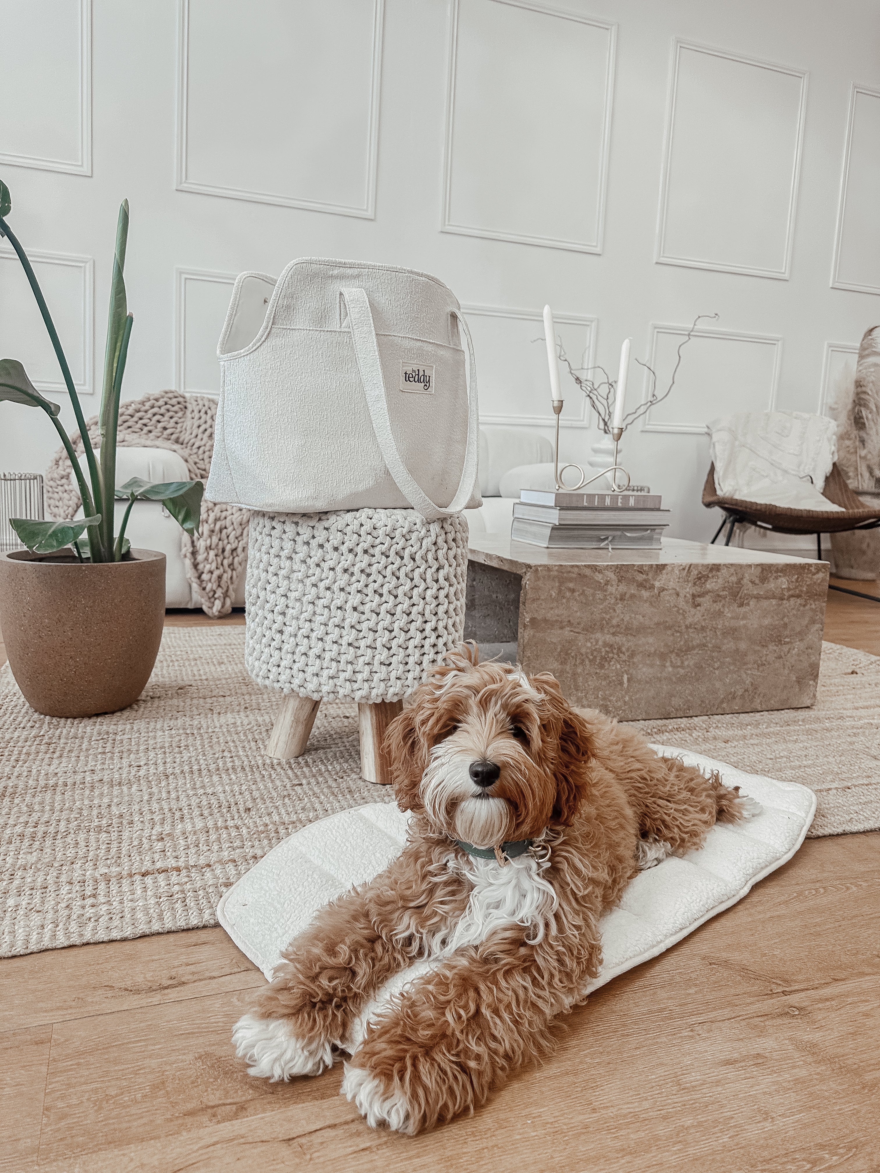 Marshmallow┃The Bouclé Carrier - Image 9